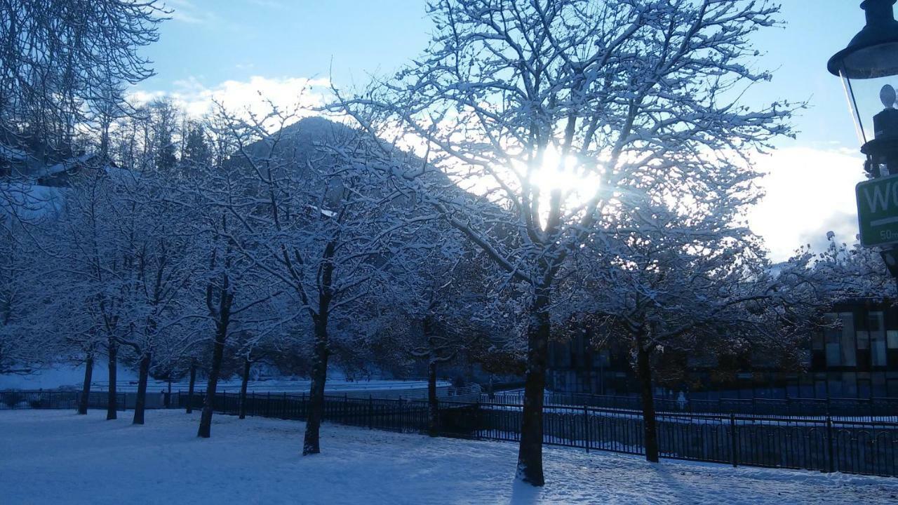 Ferienwohnung "Kaiserblick" Bad Aussee Bagian luar foto